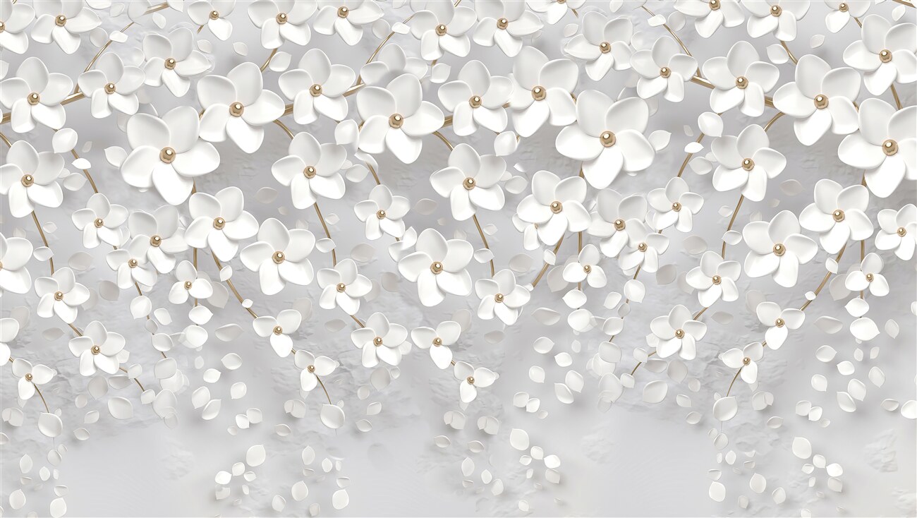 Last Product image