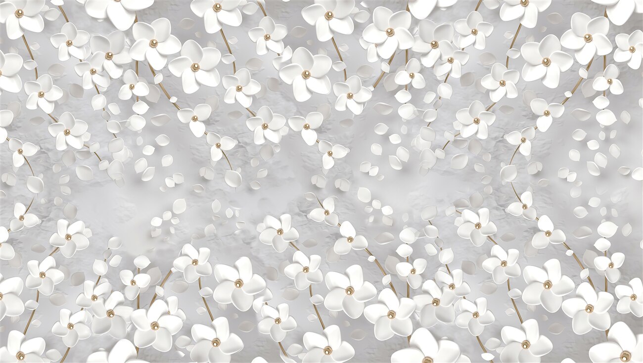 Last Product image