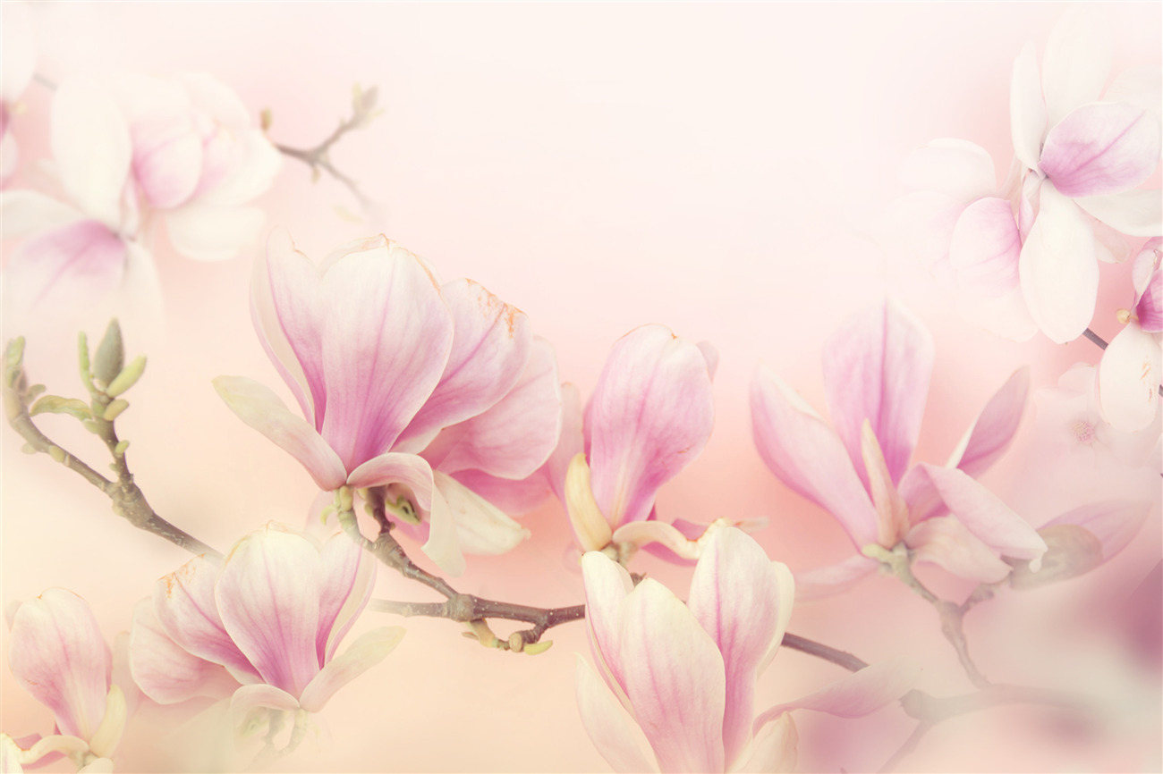 Last Product image