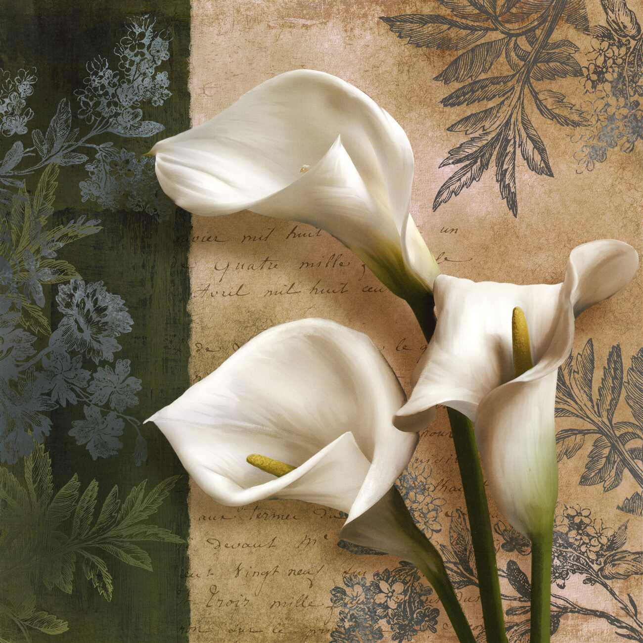 Last Product image