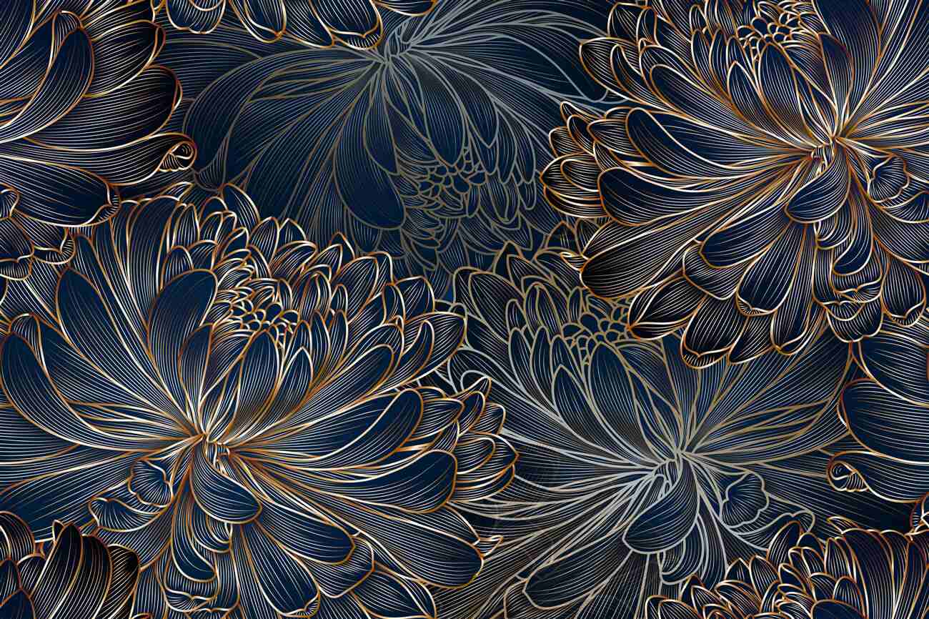 Last Product image