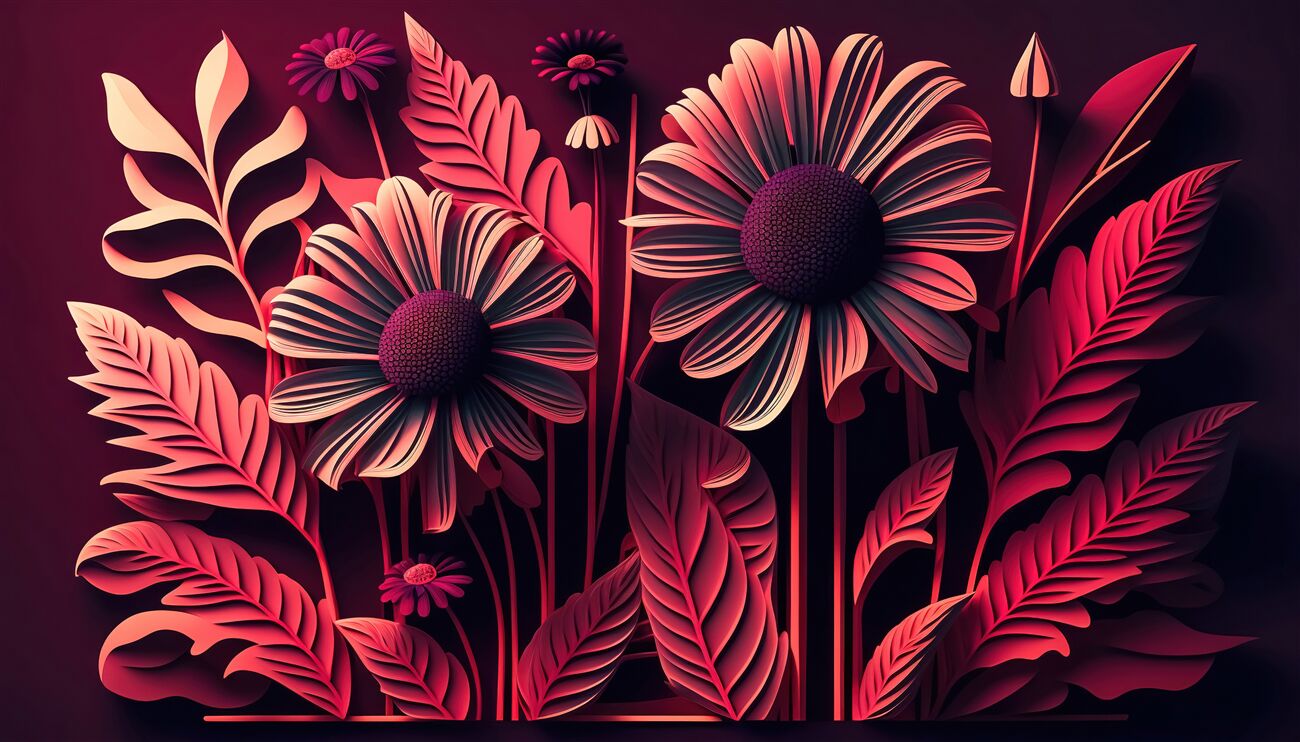 Last Product image