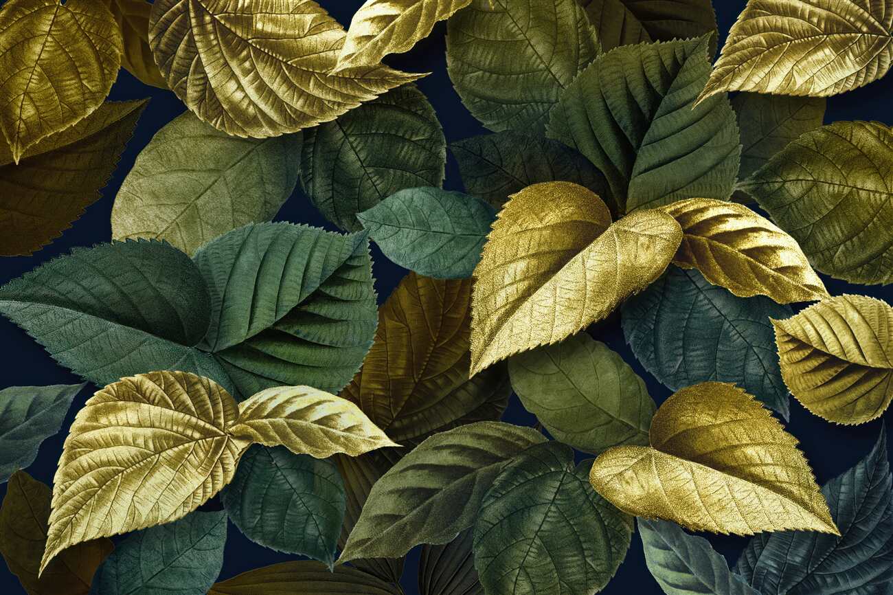 Last Product image