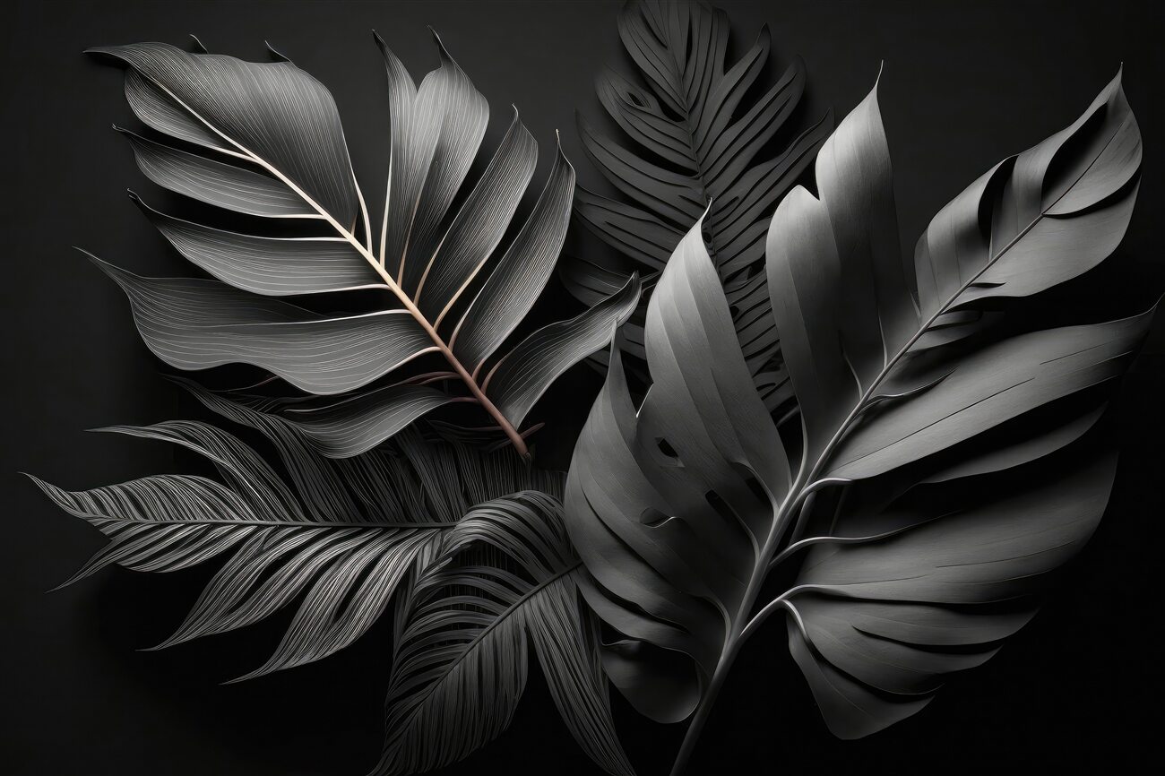 Last Product image