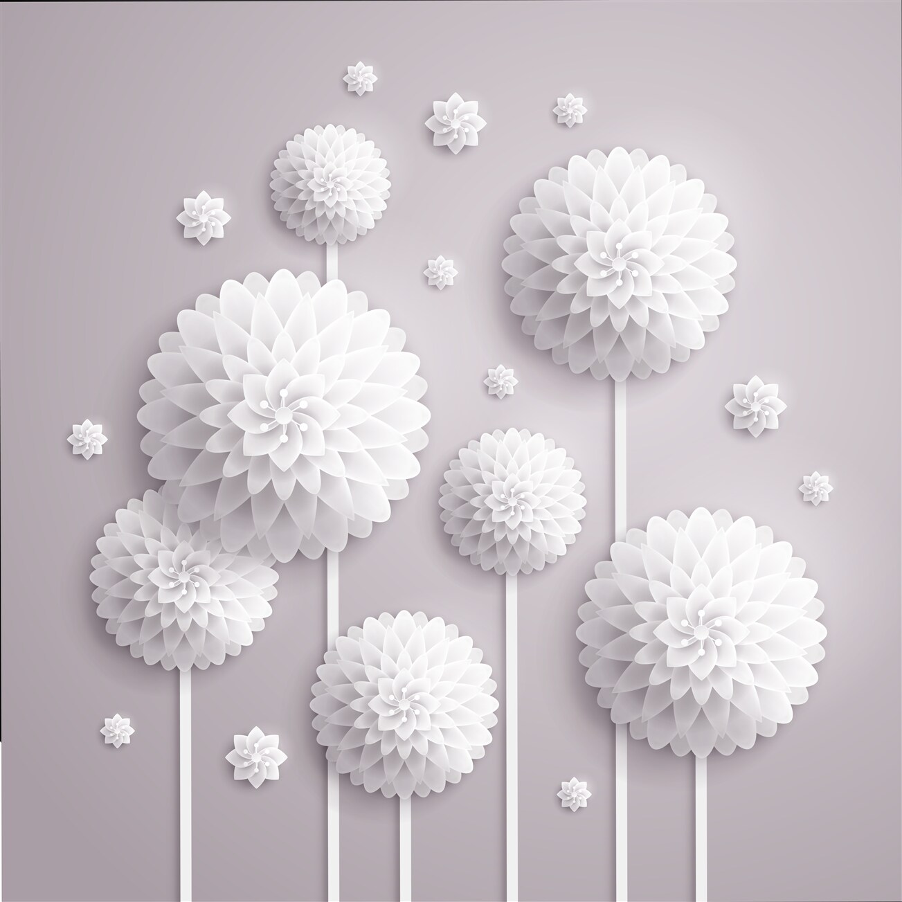 Last Product image