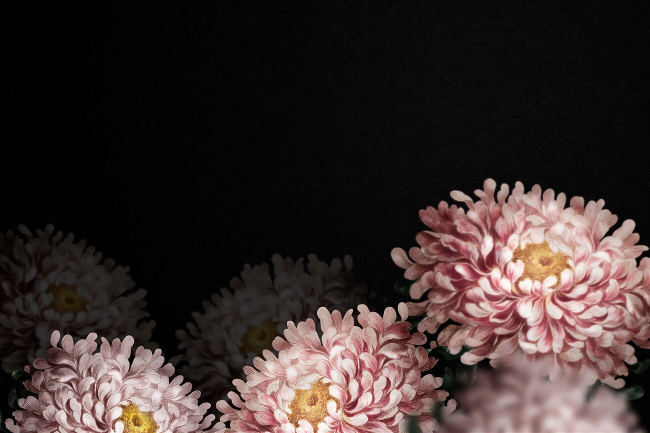 Last Product image